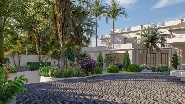 Driveway & Garden